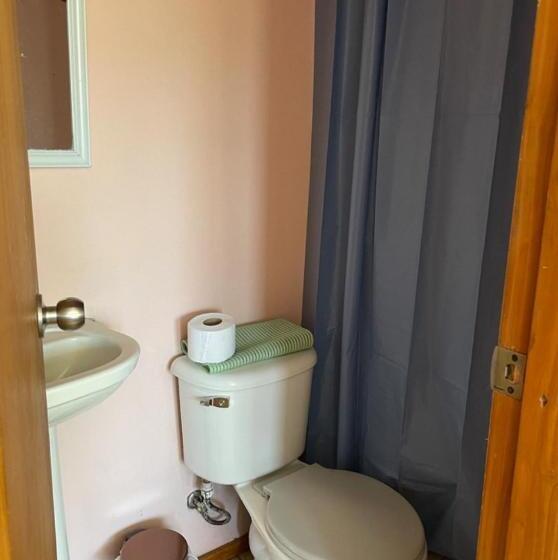 اتاق استاندارد, Green Dream