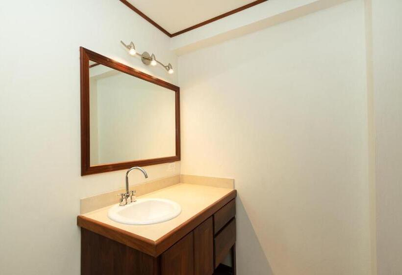 豪华工作室, Pur Private Suites