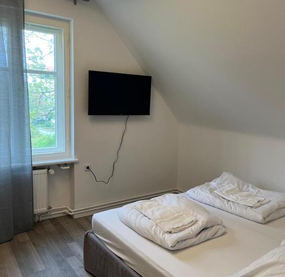 اتاق استاندارد, King David Garden