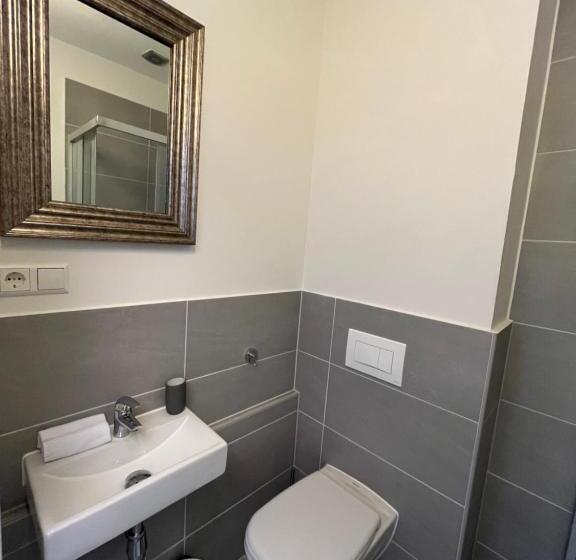 اتاق استاندارد, King David Garden