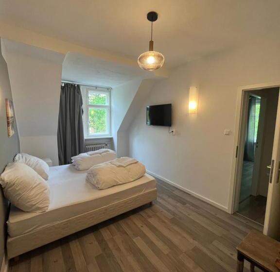 اتاق خانوادگی, King David Garden