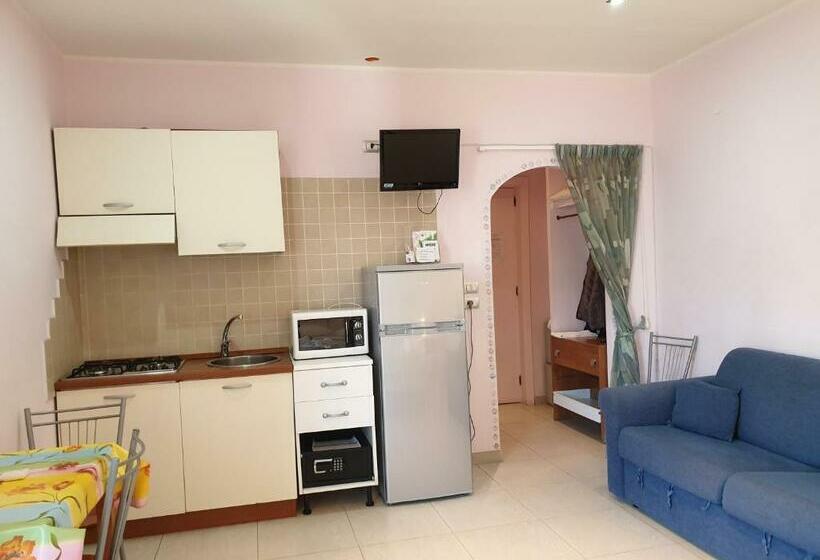 استودیوی استاندارد, Elisart Guest House