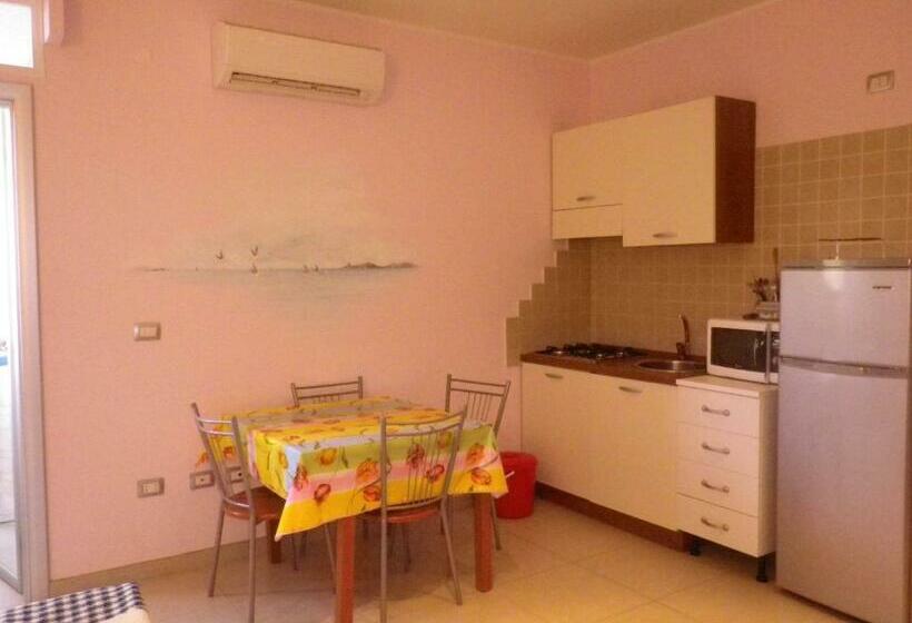 استودیوی استاندارد, Elisart Guest House