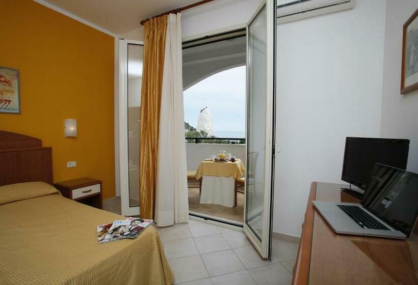 スタンダードルーム, Bikini