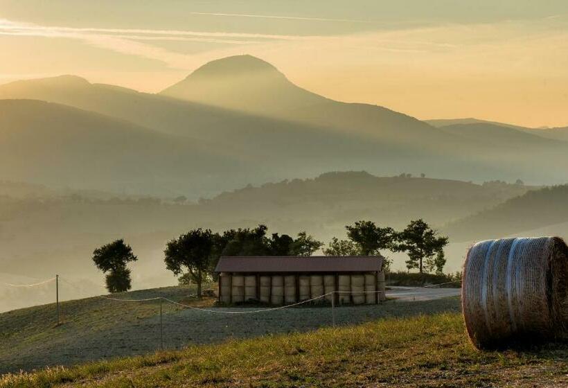 标准单人间, Due Torri