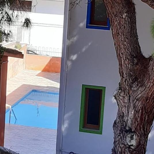 スタンダードルーム, I Colori