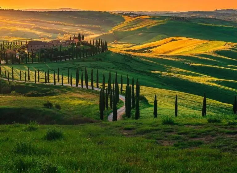 Perhesviitti, Palazzo Brandano