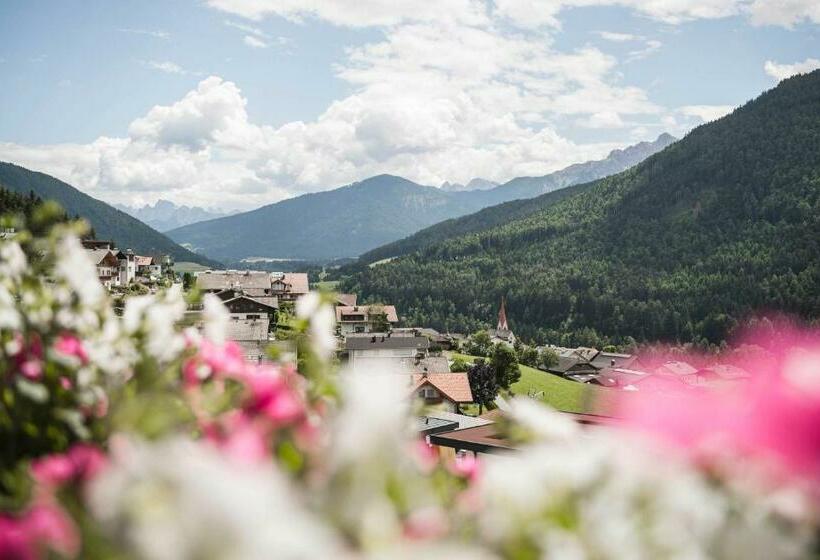 סוויטה, Waldhof