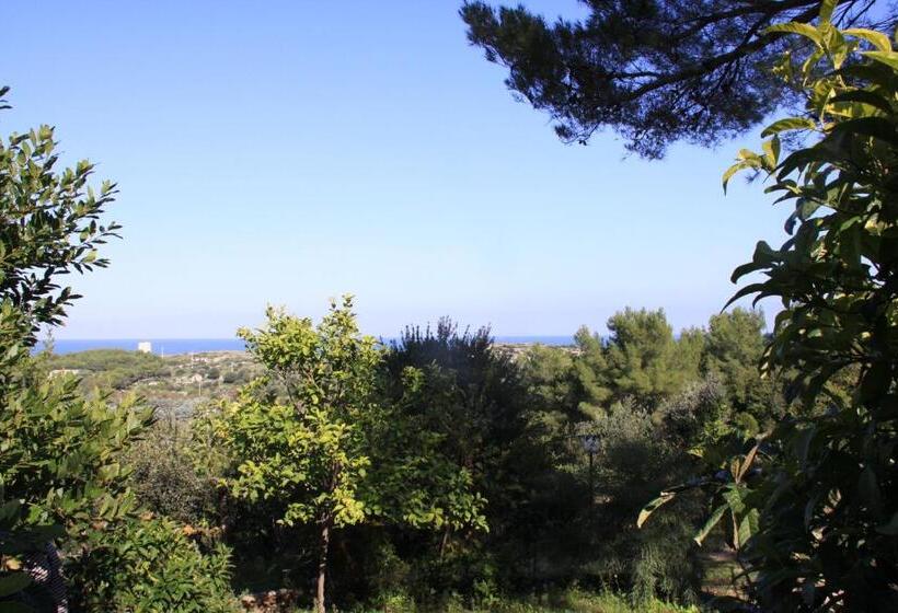 استودیوی سوپریور, Residence Gli Stingi