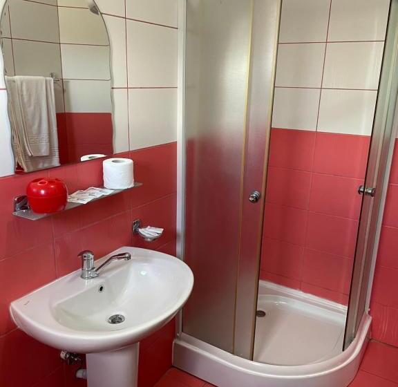 スタンダードルーム, Pensiunea Viitorul