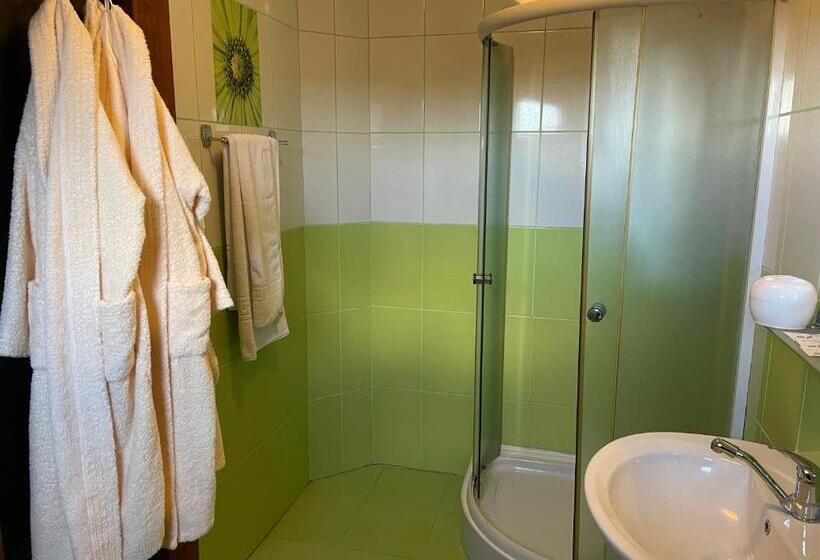 スタンダードトリプルルーム, Pensiunea Viitorul