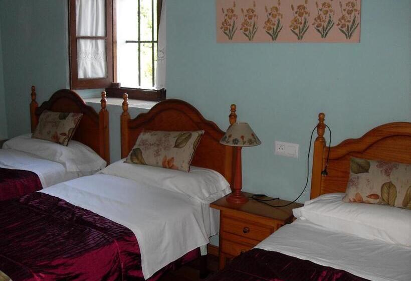 اتاق استاندارد سه نفره, Asturias