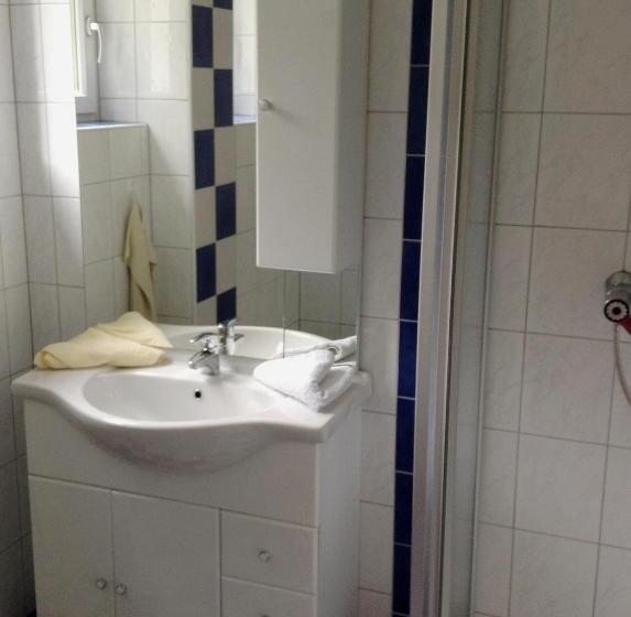 Номер Стандарт с Балконом, Pension Carina