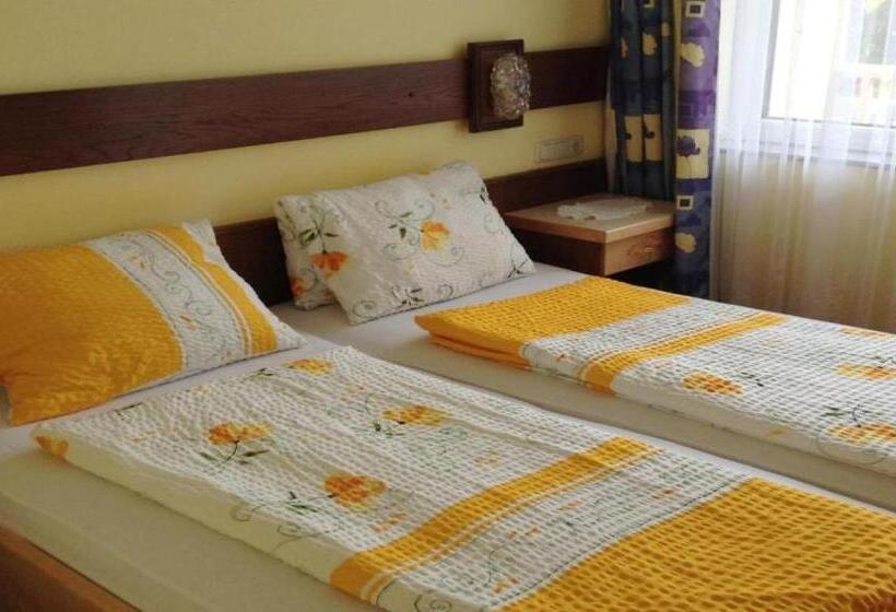 Номер Стандарт Индивидуальный с Балконом, Pension Carina