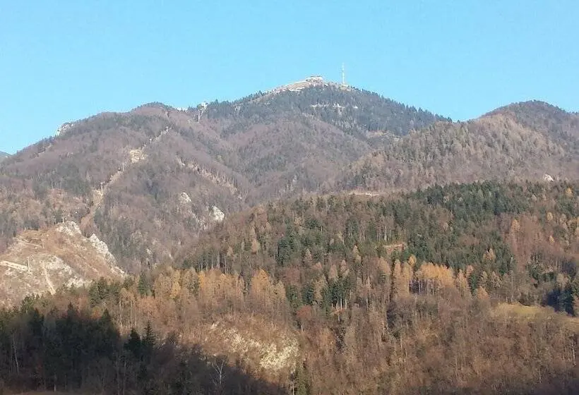 آپارتمان 1 خوابه, Mama's House