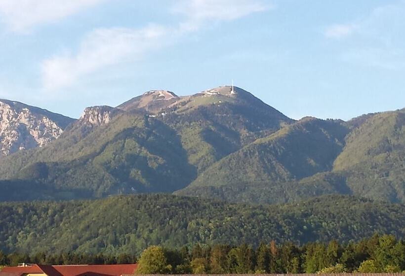 اتاق استاندارد چهار تخته, Mama's House