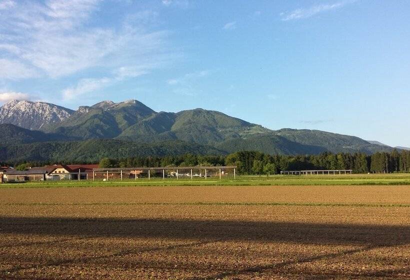 اتاق استاندارد چهار تخته, Mama's House