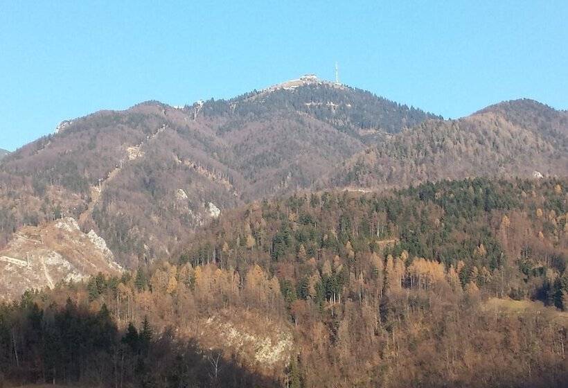 اتاق خانوادگی, Mama's House