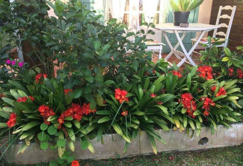 اتاق استاندارد با چشمانداز باغ, Chez Mamie