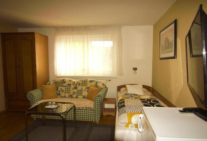 스탠다드 룸, Penzion Harmonia