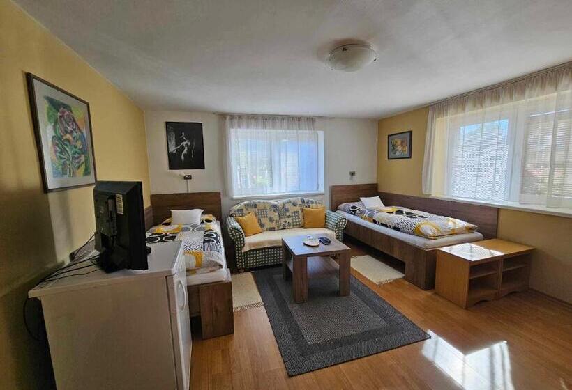 스탠다드 룸, Penzion Harmonia