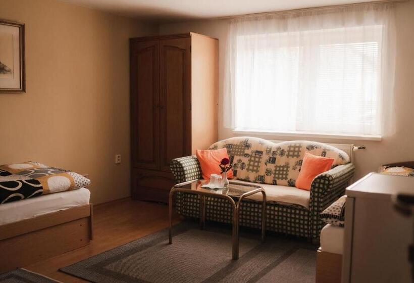 스탠다드 룸, Penzion Harmonia