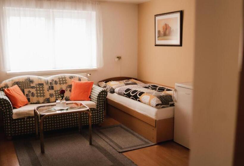 스탠다드 룸, Penzion Harmonia