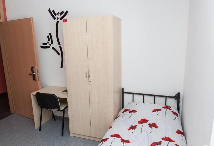 اتاق استاندارد با سرویس بهداشتی مشترک, Hostel Velenje