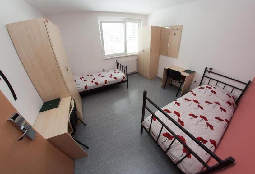 اتاق استاندارد با سرویس بهداشتی مشترک, Hostel Velenje