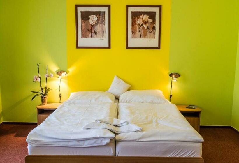 Номер Стандарт, Roháč