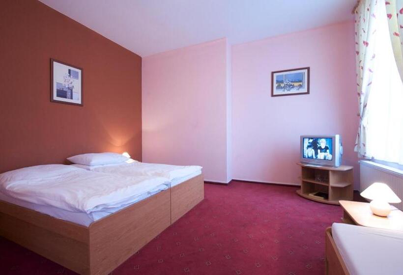 Номер Стандарт, Roháč