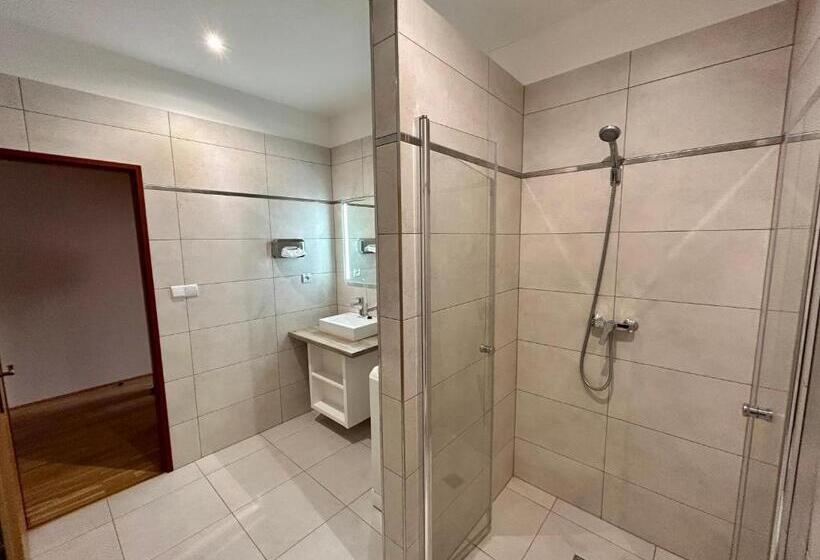 Студия Стандарт, Roháč