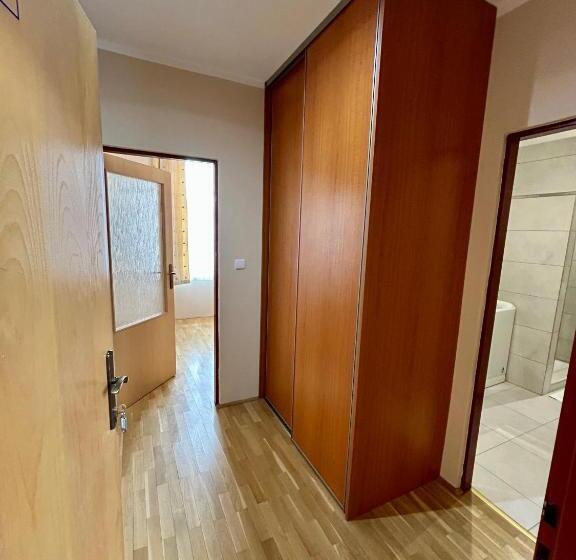 Студия Стандарт, Roháč