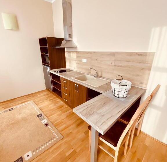 Студия Стандарт, Roháč