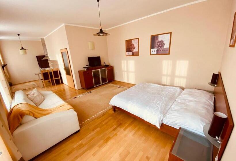 Студия Стандарт, Roháč