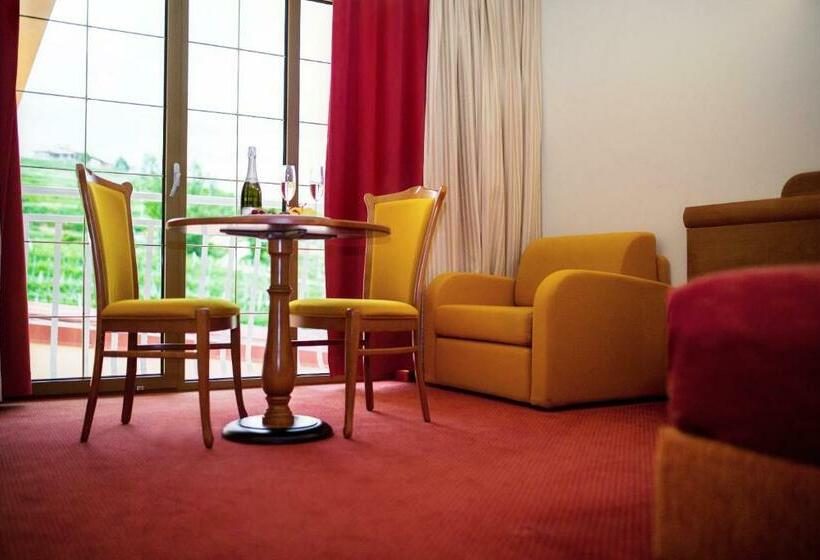 اتاق استاندارد, Venko