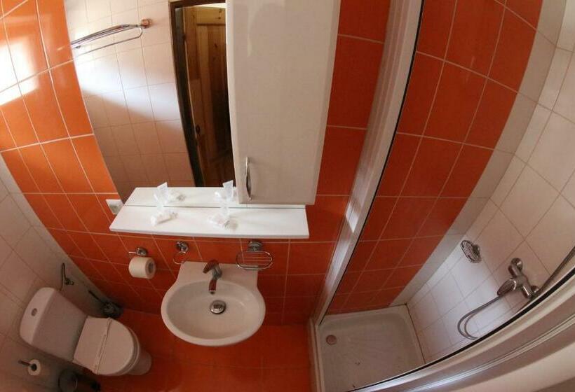 经济房, Vinarsky Dom