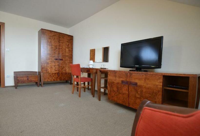 Номер Стандарт, Vion