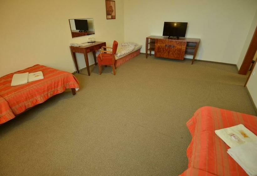 Номер Стандарт Трехместный, Vion