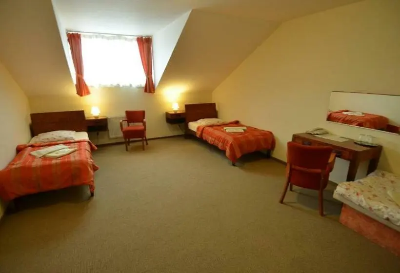 Standard Kolmen Hengen Huone, Vion