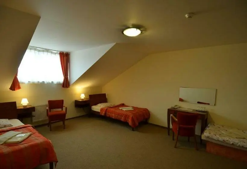Standard Kolmen Hengen Huone, Vion