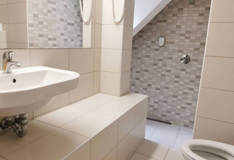 اتاق استاندارد با سرویس بهداشتی مشترک, Most Hostel