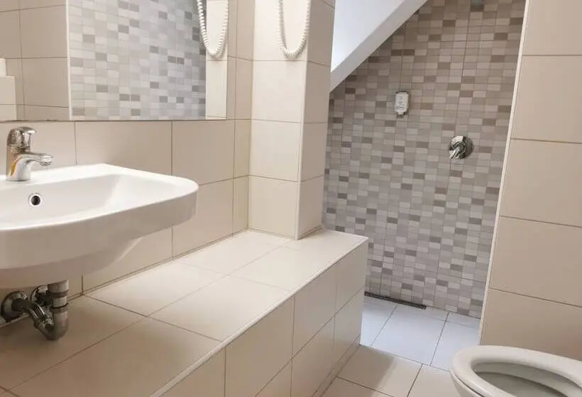 اتاق استاندارد با سرویس بهداشتی مشترک, Most Hostel