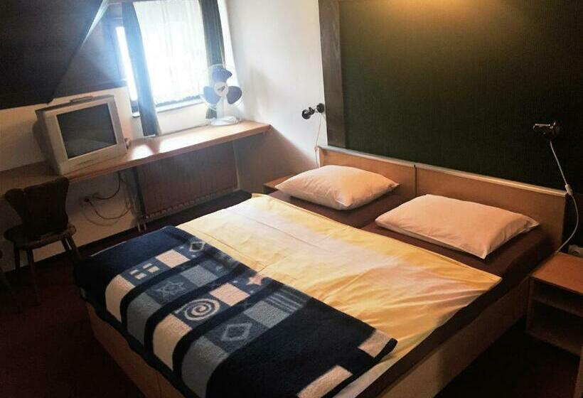 اتاق استاندارد, Reich Motel