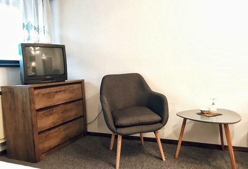 اتاق استاندارد, Reich Motel