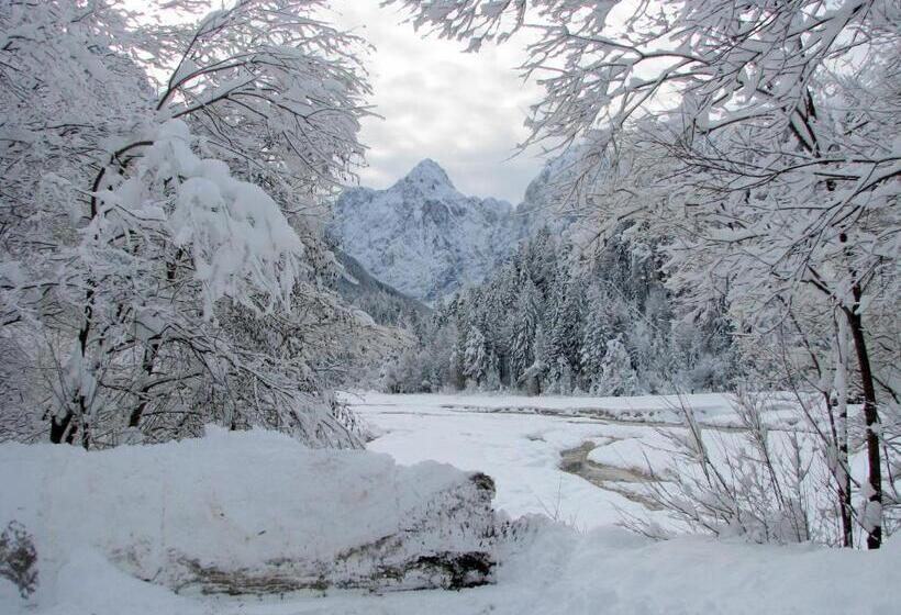 اتاق استاندارد چهار تخته, Youth Hostel Nika