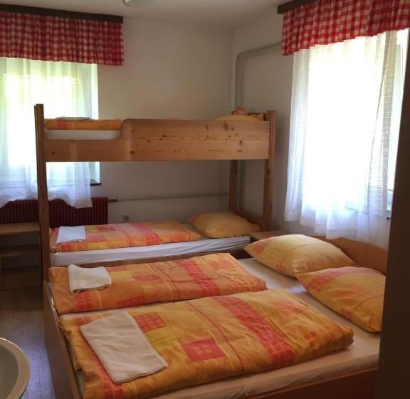 اتاق استاندارد چهارنفره با سرویس بهداشتی مشترک, Youth Hostel Nika