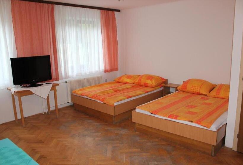 اتاق خانوادگی, Youth Hostel Nika