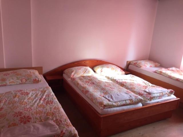 اتاق خانوادگی با سرویس بهداشتی مشترک, Youth Hostel Nika