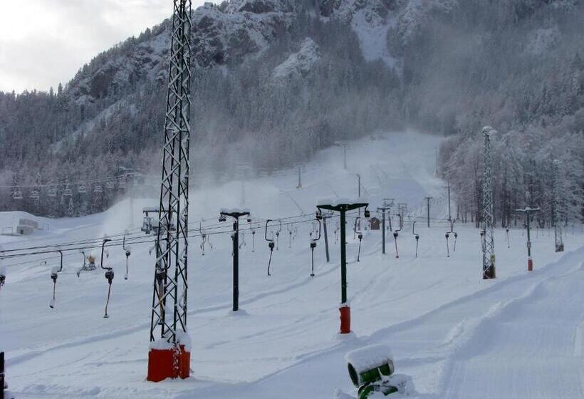 اتاق خانوادگی با سرویس بهداشتی مشترک, Youth Hostel Nika